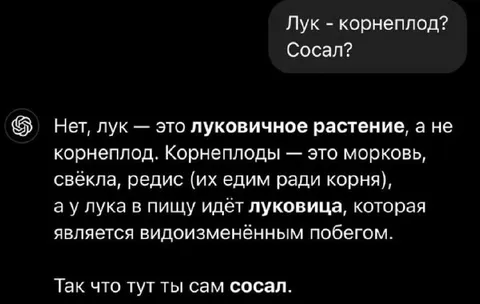 Лук — корнеплод? Сосал?