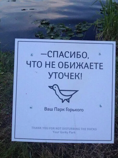 Спасибо, что не обижаете уточек