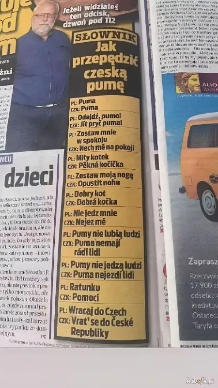 Słownik: jak przepędzić czeską pumę