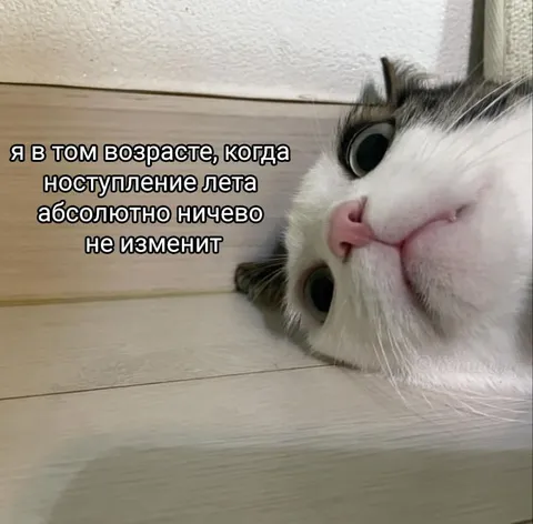 Лето ничего не изменит