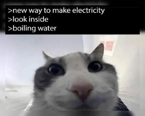 Boiling Water Electricity