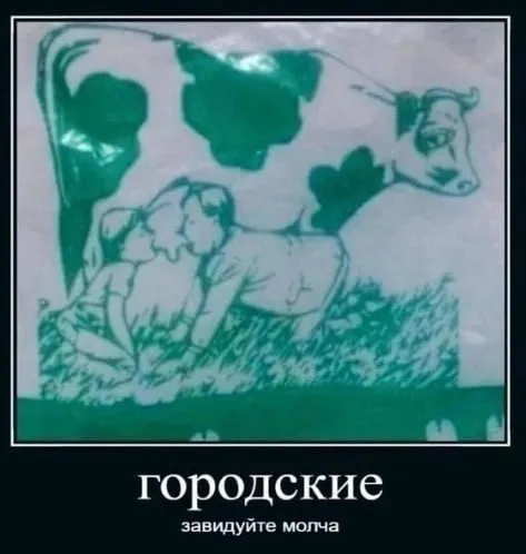 Городские, завидуйте молча