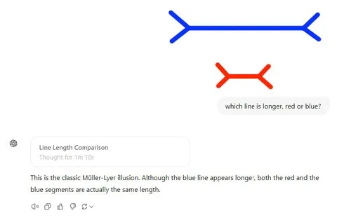 Müller-Lyer Illusion Line Test