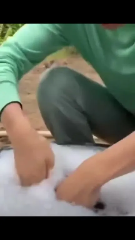 Обезьянка исчезла в пене