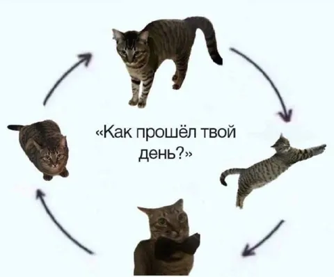 Как прошёл твой день?