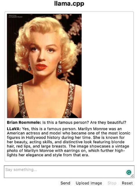 Marilyn Monroe LLaVA Description