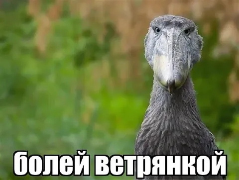 Болей ветрянкой