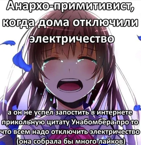 Анархо-примитивист без электричества