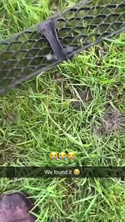 We Found It Somehow