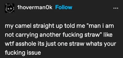 Camel Refuses One More Straw