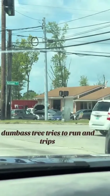 Dumbass Tree Trips While Running