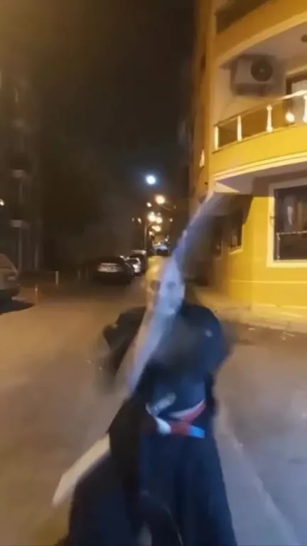 Самурай танцует ночью