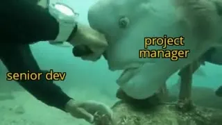 Project Manager Eats the Deadline