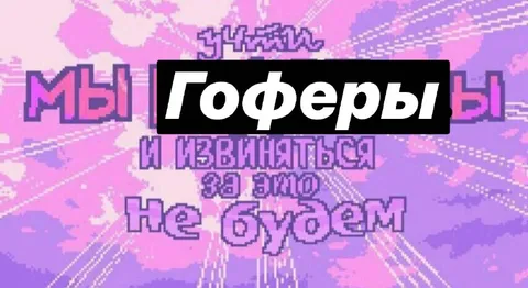 Гоферы не будут извиняться