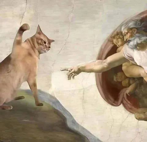 Кот касается пальца Бога