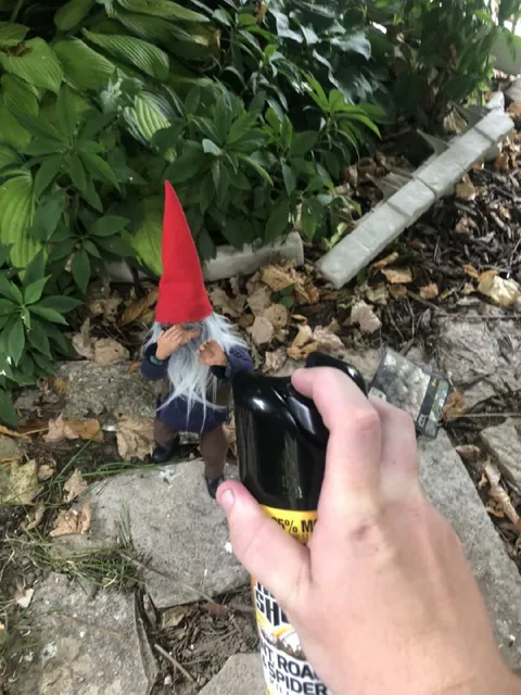 Spraying the Garden Gnome