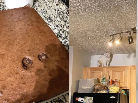 История в двух частях