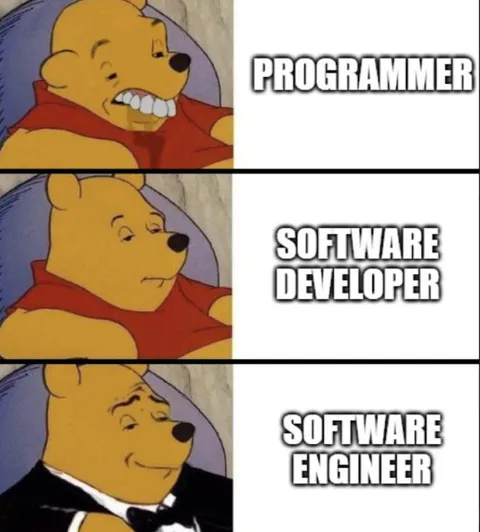 Pooh Programmer Software Engineer