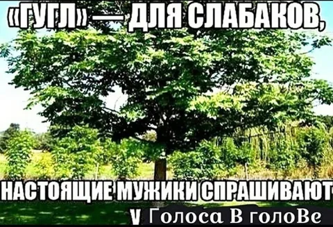 Настоящие мужики спрашивают у голоса