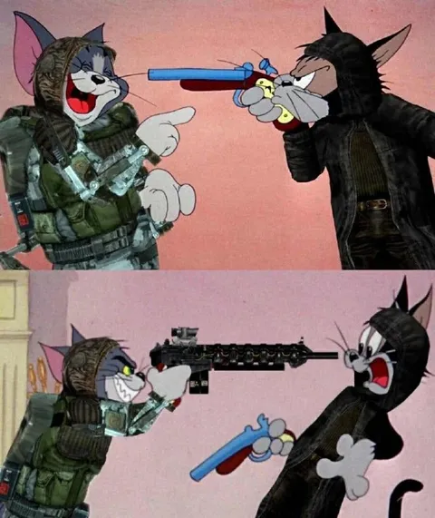 Коты выясняют отношения с оружием