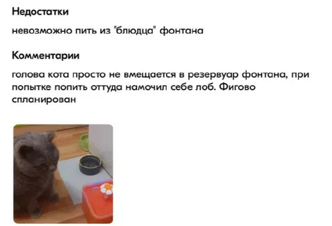 Кот не помещается в фонтан