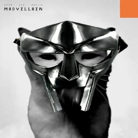 Cat Wearing MF DOOM Mask