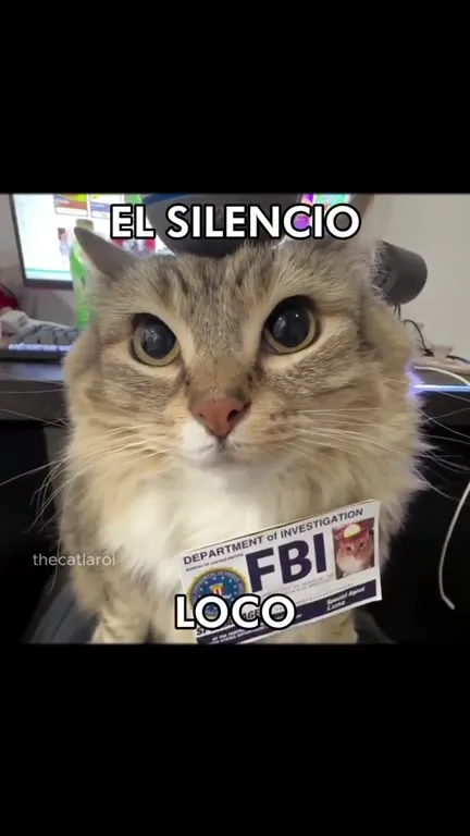 Gatos respondiendo al silencio