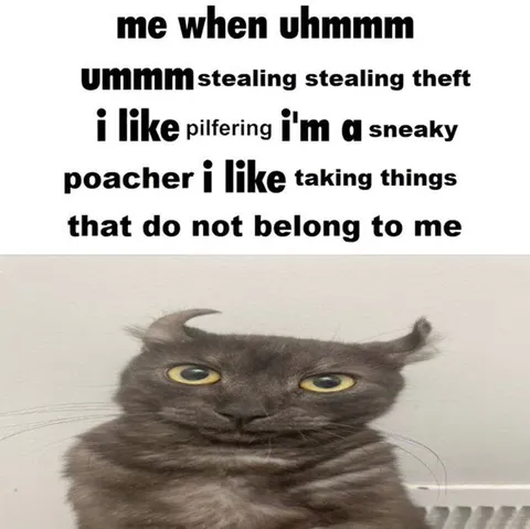 Sneaky Cat Likes Stealing