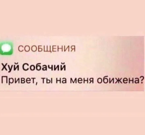 Хуй Собачий пишет бывшей