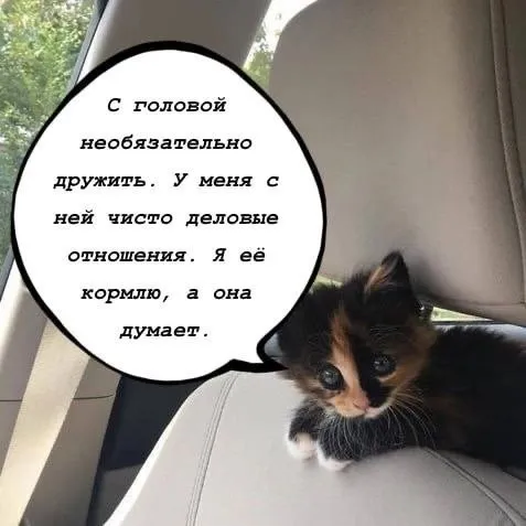 Чисто деловые отношения с головой