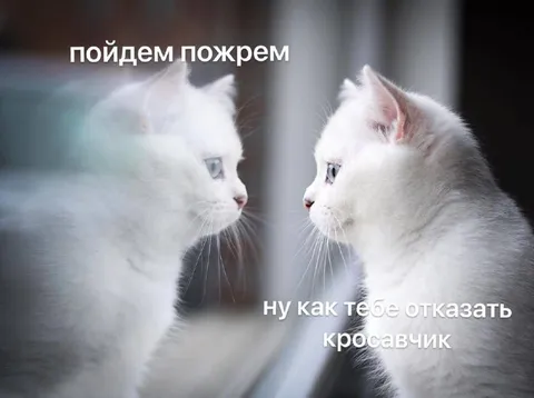 Пойдём пожрём, красавчик