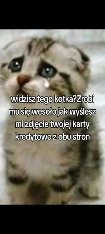 Smutny kotek chce kartę kredytową