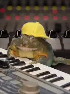 Жаба за синтезатором