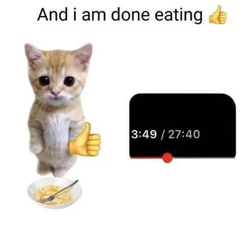 Котёнок закончил есть