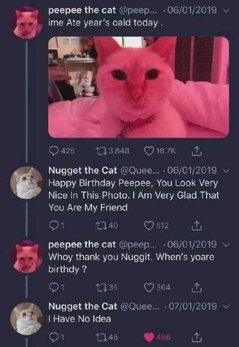 Peepee Cat Birthday Confusion