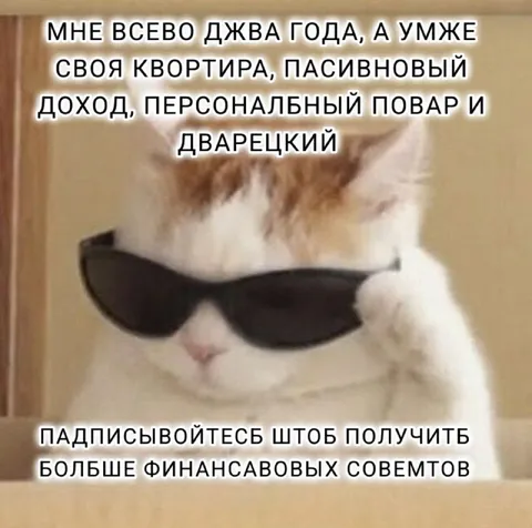 Кот с пассивным доходом