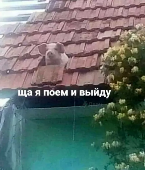 Ща я поем и выйду