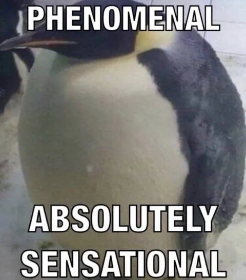 Phenomenal Absolutely Sensational Penguin
