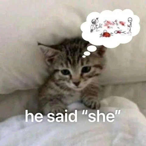 He Said She