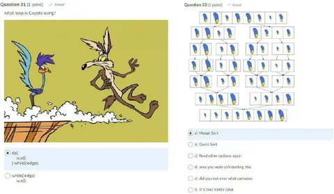 Coyote's Infinite Loop Quiz