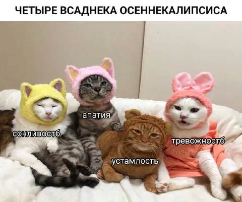 Четыре состояния осенней хандры