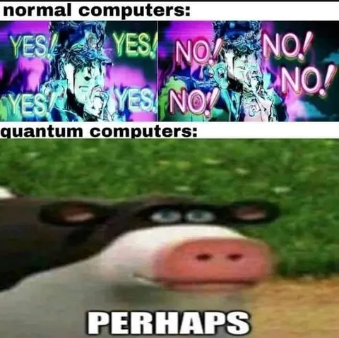 Quantum Computers Say Perhaps