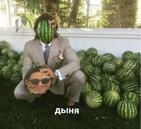 Дыня вместо головы