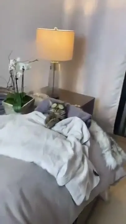 Cat Daddy Issues Spa Day