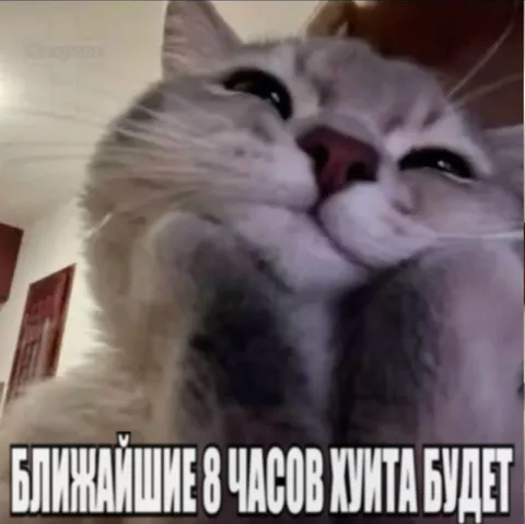 Ближайшие 8 часов хуета