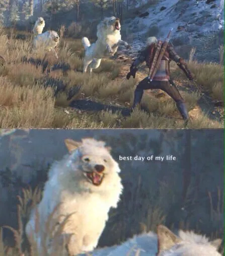 Best Day of My Life Wolf