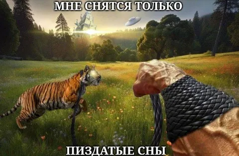 Пиздатые сны с тигром