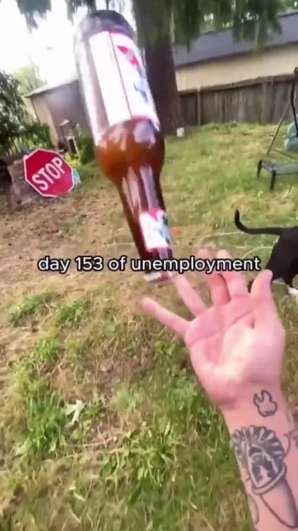 Day 153 of Unemployment