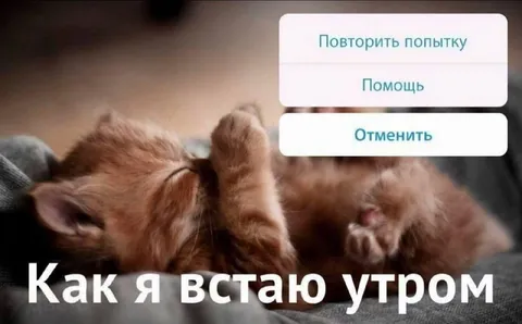 Как я встаю утром