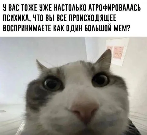 Психика превратилась в мем